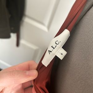 A.L.C. Delfina Pleated Dress 8 Brunette